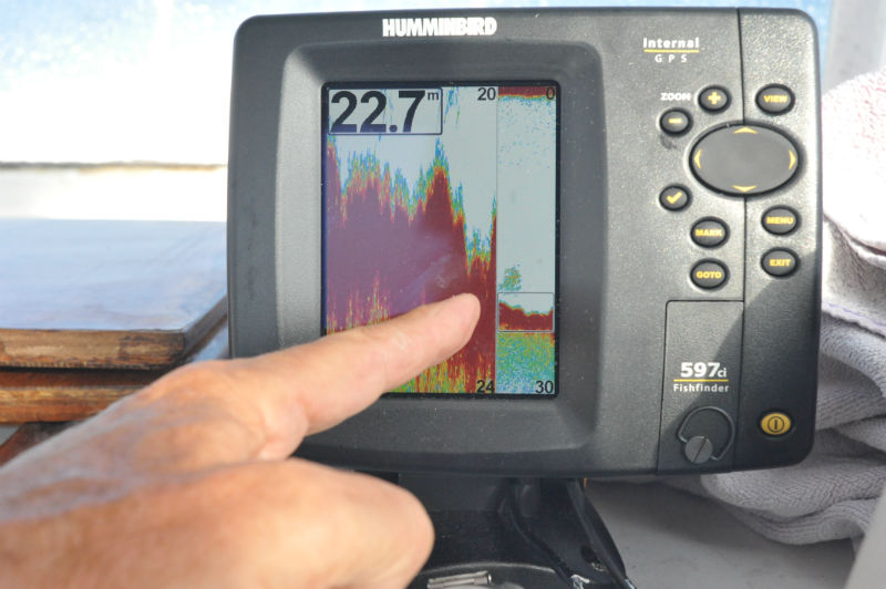 HUMMINBIRD 597_cxiCOMBO